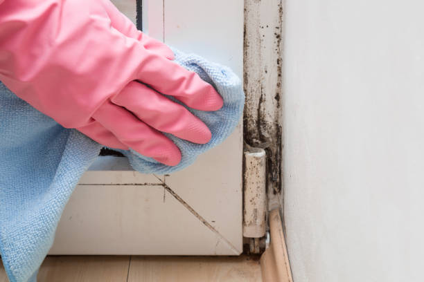 Trusted Bunker Hill, OR Mold Remediation Experts