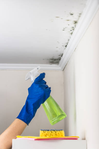 Best Post-Remediation Services in Bunker Hill, OR